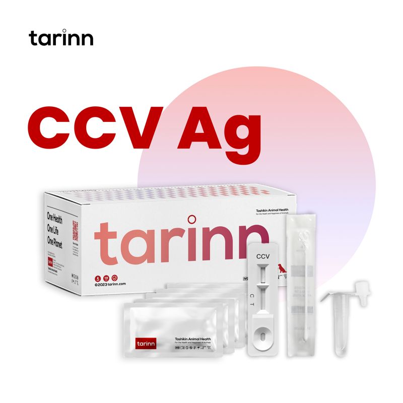 CCV Ag Test Kits