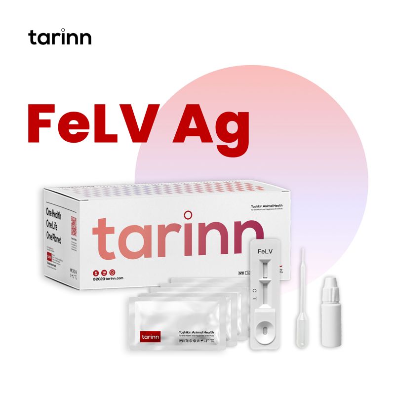 FeLV Ag Test Kits